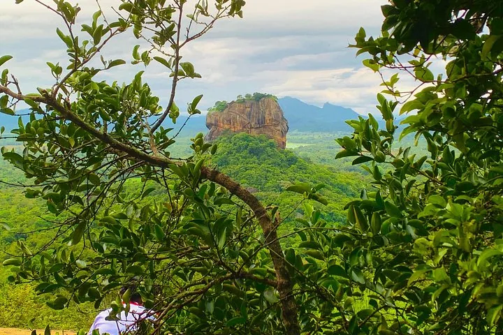 Vista della Roccia di Sigiriya incorniciata da foglie e rami verdi