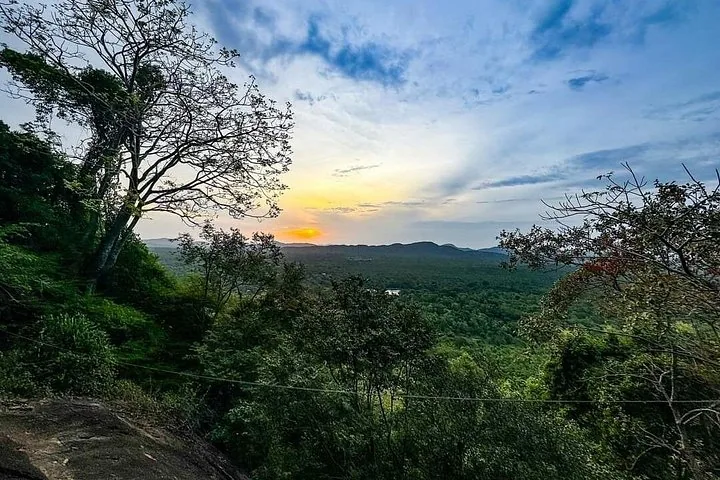 Sunset over a forested landscape viewed through trees from a hill